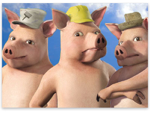 pigs