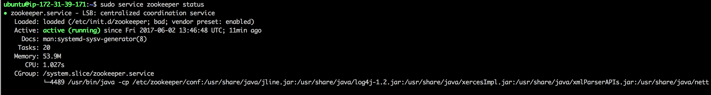 Zookeeper Status after installation.png